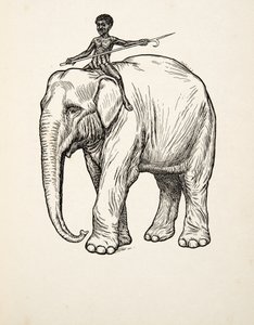 Remords, de A Hundred Anecdotes of Animals, pub. 1924 - Percy J. Billingshurst