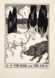 Le Sanglier et l