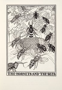 Les Frelons et les Abeilles, des Fables de Fontaine, pub. 1905 (gravure) - Percy J. Billingshurst