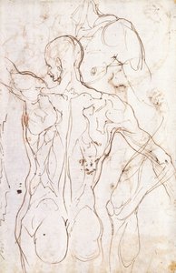Un nu vu de dos, regardant vers la gauche, et autres études de son épaule gauche et de sa jambe droite - Perino del Vaga