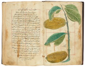 Hassan Bin Baqir Bin Jarrah: Gulzar Al-Rayahin, Qajar Iran