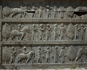 Peuples soumis offrant des cadeaux à Darius Ier