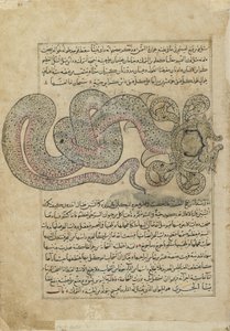 Le Serpent de Mer (al-Tannin), folio de Ajaib al-makhluqat (Merveilles de la Création) par al-Qazvini, Irak ou Turquie orientale