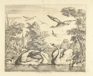 Trois cygnes et autres oiseaux près d