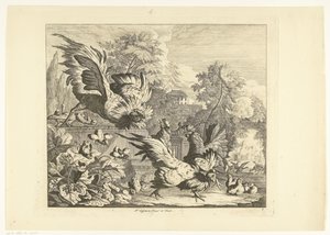 Combat de coqs - Peter Casteels (III)