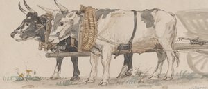 Deux bœufs tirant une charrette