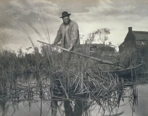 Retour des marais, vie et paysage sur les Norfolk Broads, 1886
