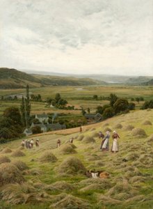 Vallée de Llanrest