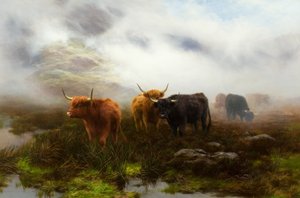 Lande et Brume