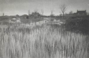 Un rivage rustique - Peter Henry Emerson