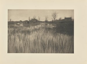 Un rivage rustique - Peter Henry Emerson