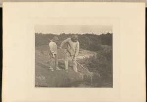 AnguilleCueillette dans les eaux du Suffolk - Peter Henry Emerson