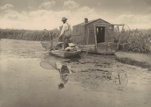  - Peter Henry Emerson