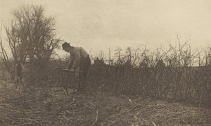 Clôtures dans le Suffolk - Peter Henry Emerson