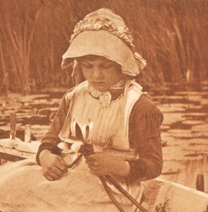 Blumen des Sees - Peter Henry Emerson
