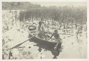 Cueillir des nénuphars - Peter Henry Emerson