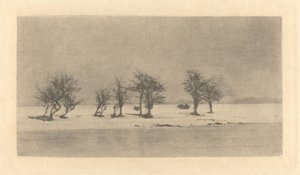 Arbres Noueux-Épineux - Peter Henry Emerson