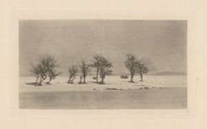 Arbres épineux noueux - Peter Henry Emerson