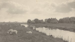 Sur la Bure, 1886 (photo) - Peter Henry Emerson
