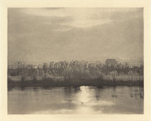 Cristaux de Rime, en ou avant 1895 (photo) - Peter Henry Emerson