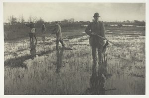 Tir à la bécassine - Peter Henry Emerson