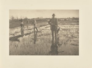  - Peter Henry Emerson