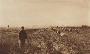 Les marais en juin
