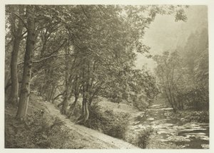 Le sentier du First Brae, Dove Dale - Peter Henry Emerson
