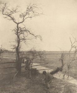 Les coupeurs de brindilles - Peter Henry Emerson