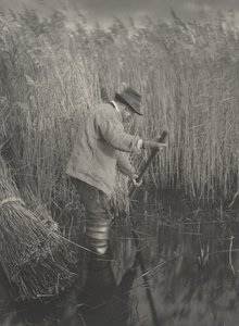 Un coupeur de roseaux au travail - Peter Henry Emerson and T.F. Goodall