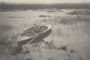 Canonnier travaillant à la volaille - Peter Henry Emerson and T.F. Goodall