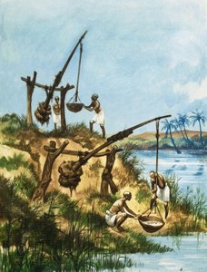 Les premiers Égyptiens utilisant un système de poids et de perches appelé shadoofs pour obtenir de l