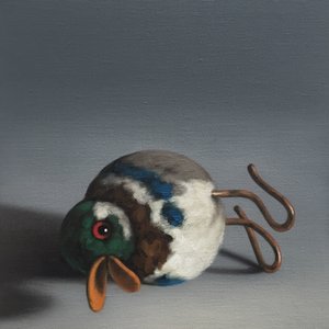 Canard boiteux