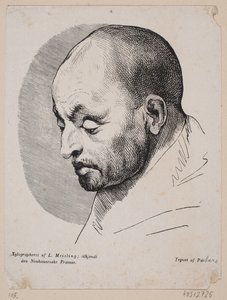 Tête d