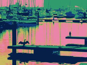 COURT-SHIP HARTLEPOOL, 2014