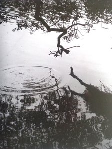 PHOTO N&B VINTAGE No.5, 1986 - Peter McClure