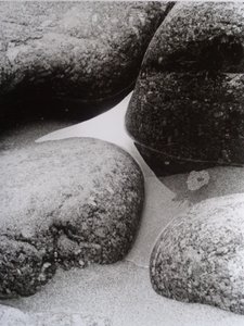 PHOTO N&B VINTAGE No.9, 1987 - Peter McClure