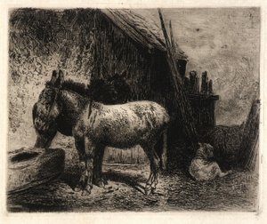 (Ânes et moutons)