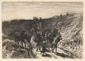 Train de burros, Nouveau-Mexique - Peter Moran