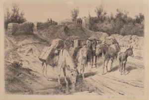 Sur la route de Santa Fe