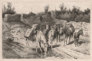 Sur la route de Santa Fe