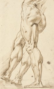 Étude écorchée des jambes d