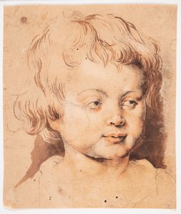 Barnehoved - Peter Paul Rubens