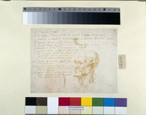 Tête écorchée, avec les traits de l
