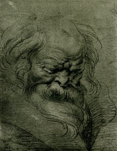 Étude de tête pour Bacchus - Peter Paul Rubens