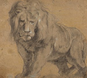 Lion, c.1612-13