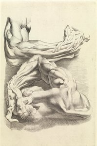 Muscles