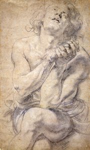 Jeune homme assis (étude pour Daniel) - Peter Paul Rubens