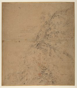 Étude de prunellier avec ronce et autres plantes