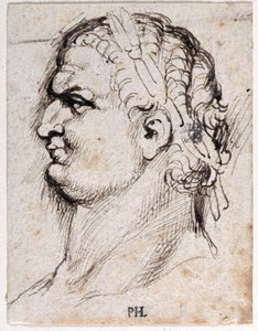 Titus, d